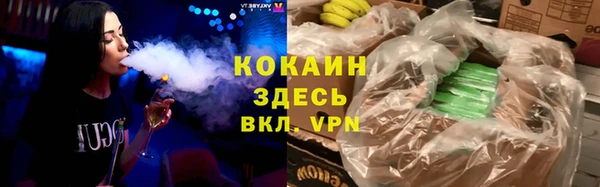соль ск Пересвет