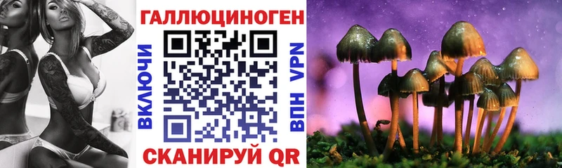 Псилоцибиновые грибы мухоморы  Менделеевск 
