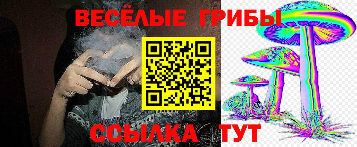 Псилоцибиновые грибы Magic Shrooms Менделеевск